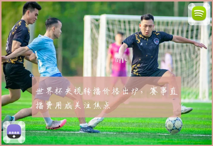 世界杯央视转播价格出炉,赛事直播费用成关注焦点