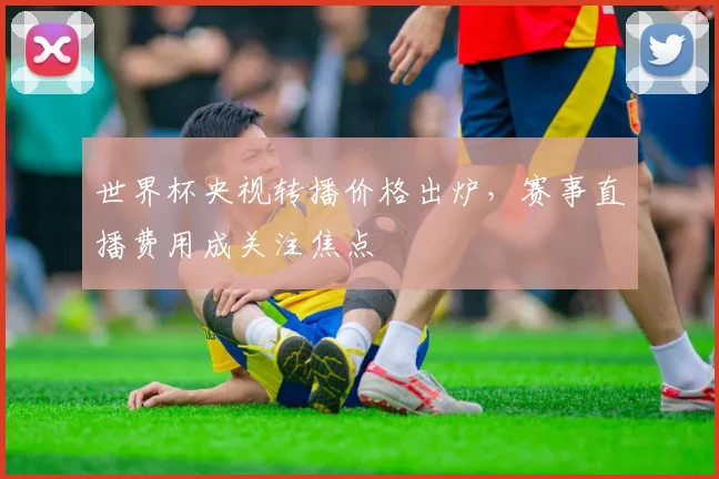 世界杯央视转播价格出炉,赛事直播费用成关注焦点