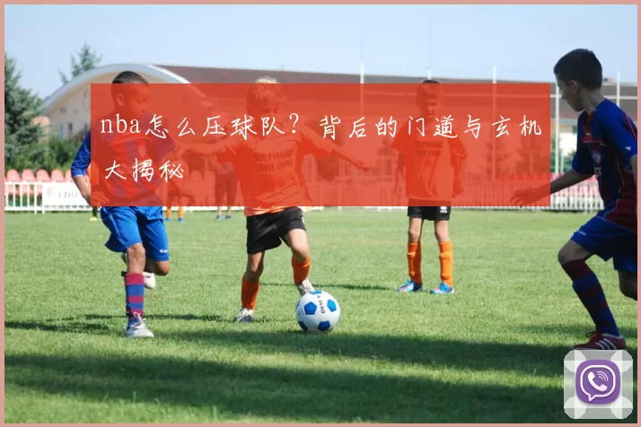 nba怎么压球队？背后的门道与玄机大揭秘
