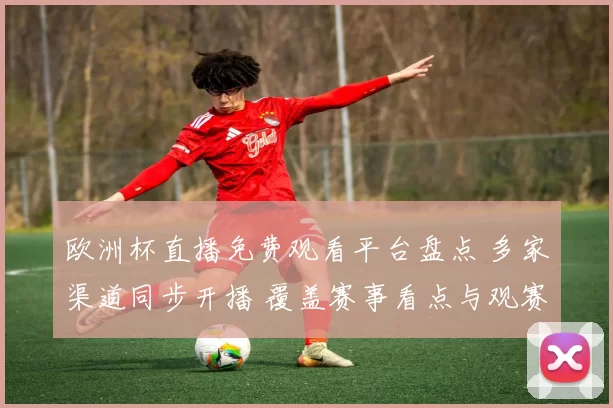 欧洲杯直播免费观看平台盘点 多家渠道同步开播 覆盖赛事看点与观赛入口