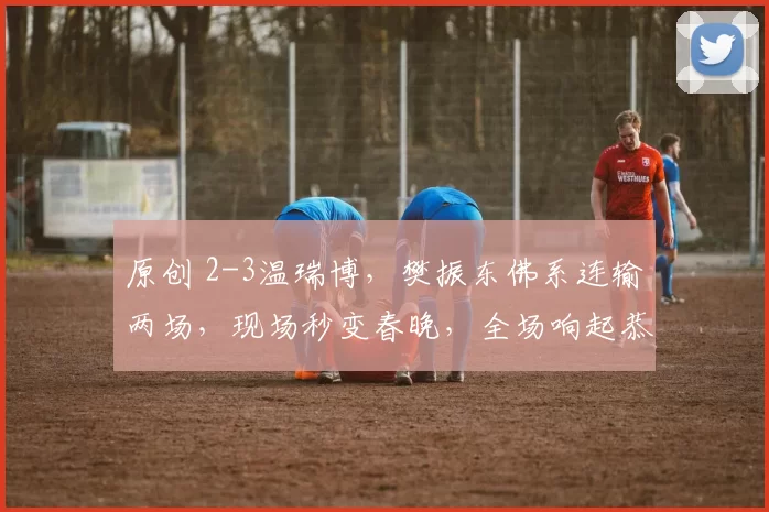 原创 2-3温瑞博,樊振东佛系连输两场,现场秒变春晚,全场响起恭喜你发财!