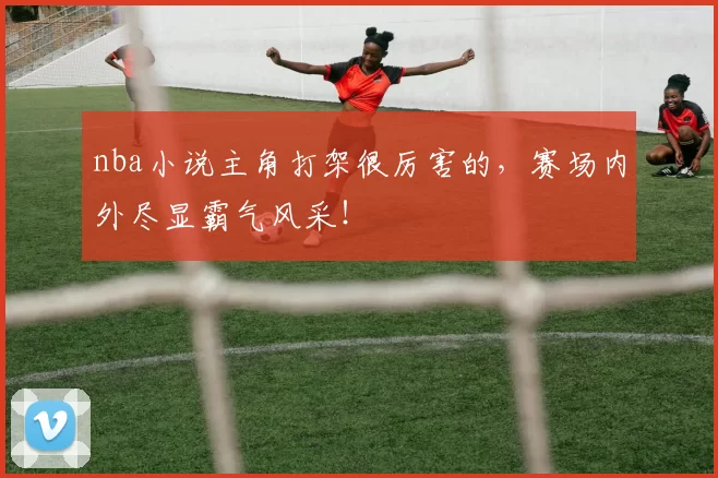 nba小说主角打架很厉害的，赛场内外尽显霸气风采！